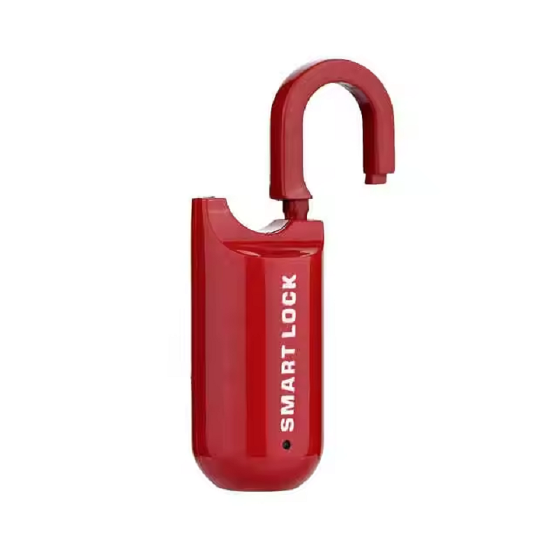 Fingerprint Smart Lock