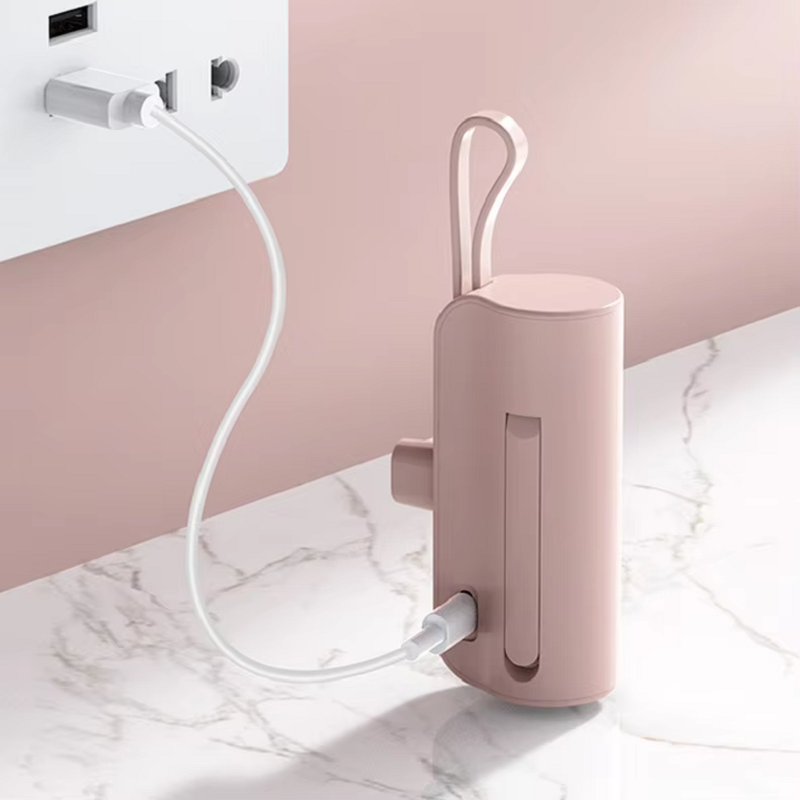 Portable Power Bank