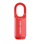 Fingerprint Smart Lock